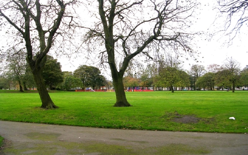 Bradford moor park