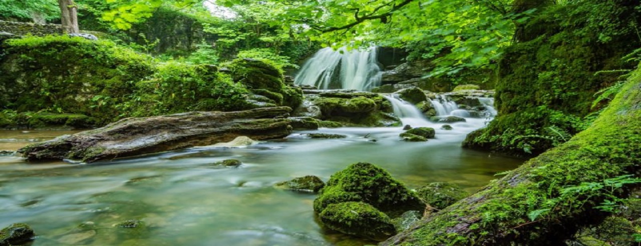 Aysgarth Falls Charity Walk