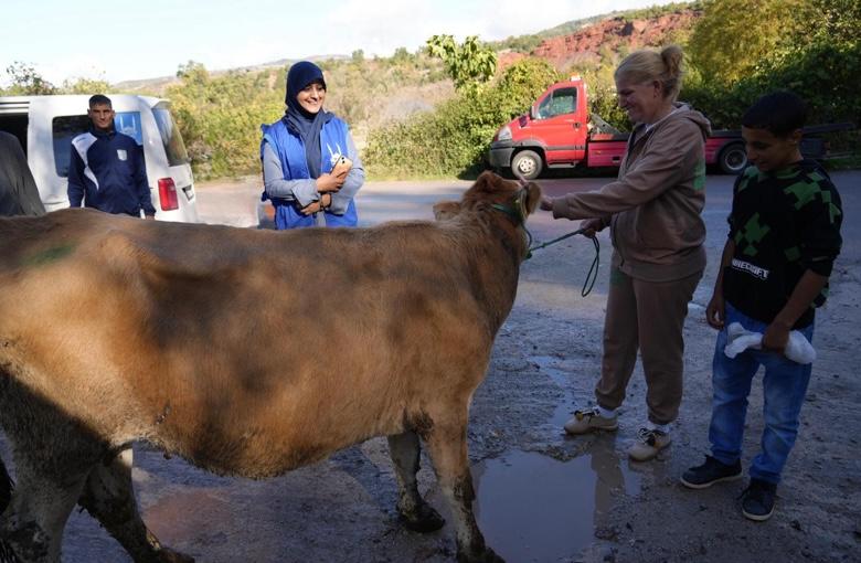 Livelihood Support for Orphan Mothers in Albania