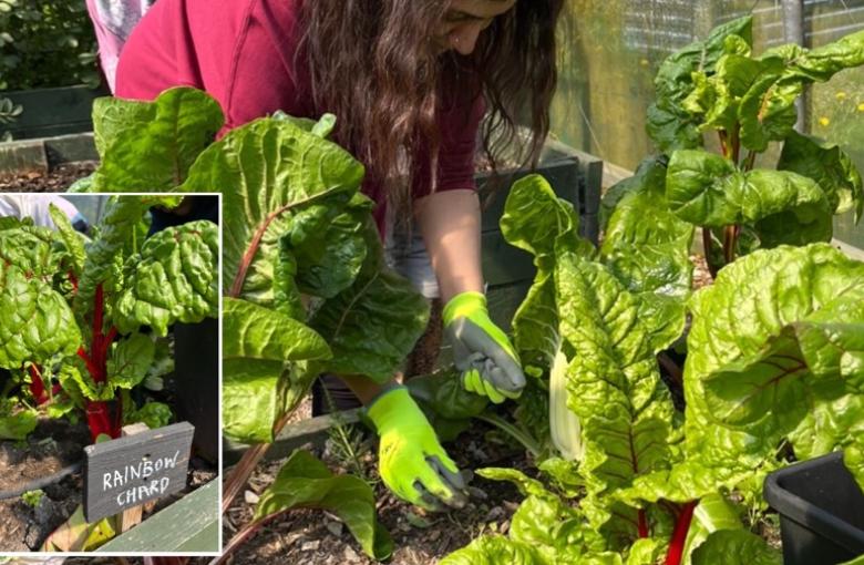 The Horticulturalists – Connecting with the Earth